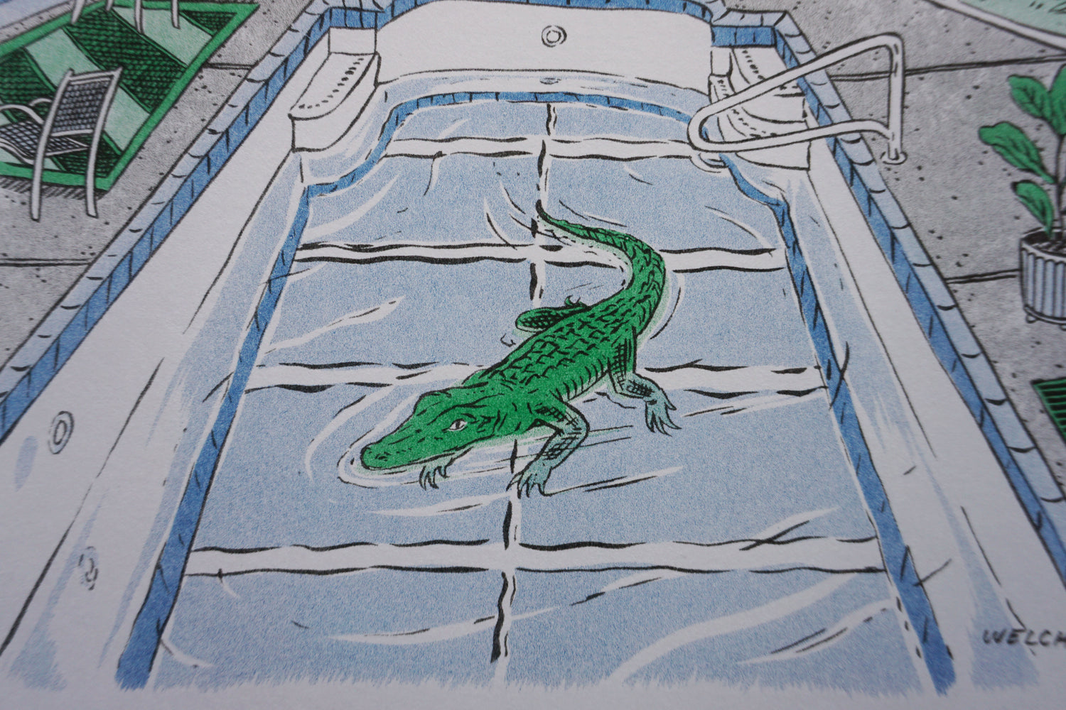 Alligator Art