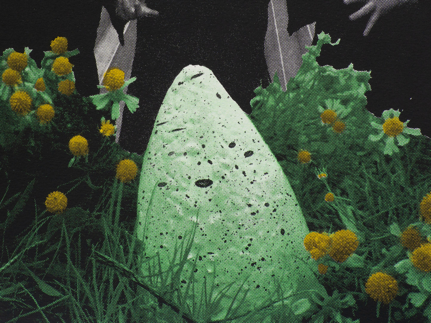 Detail of a spotted, white egg surrounded by yellow flowers.