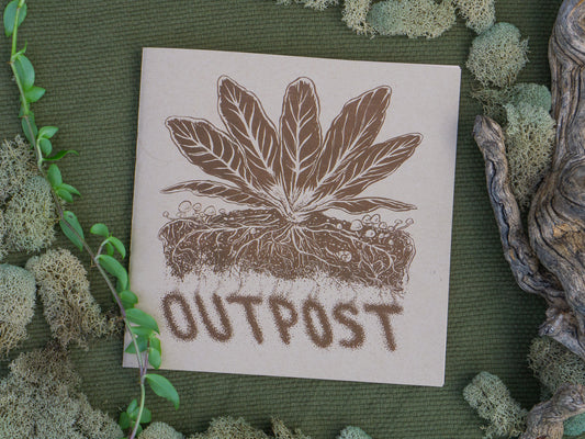 Cover of the zine with a mustard plant growing among mushrooms with an underground view of the root structure.