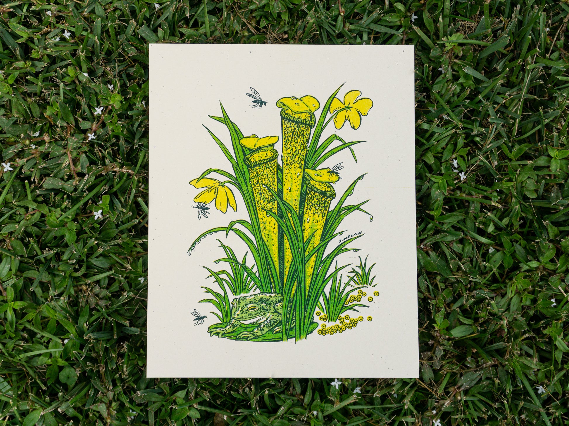 Art print of a pitcher plant with a frog at the base.