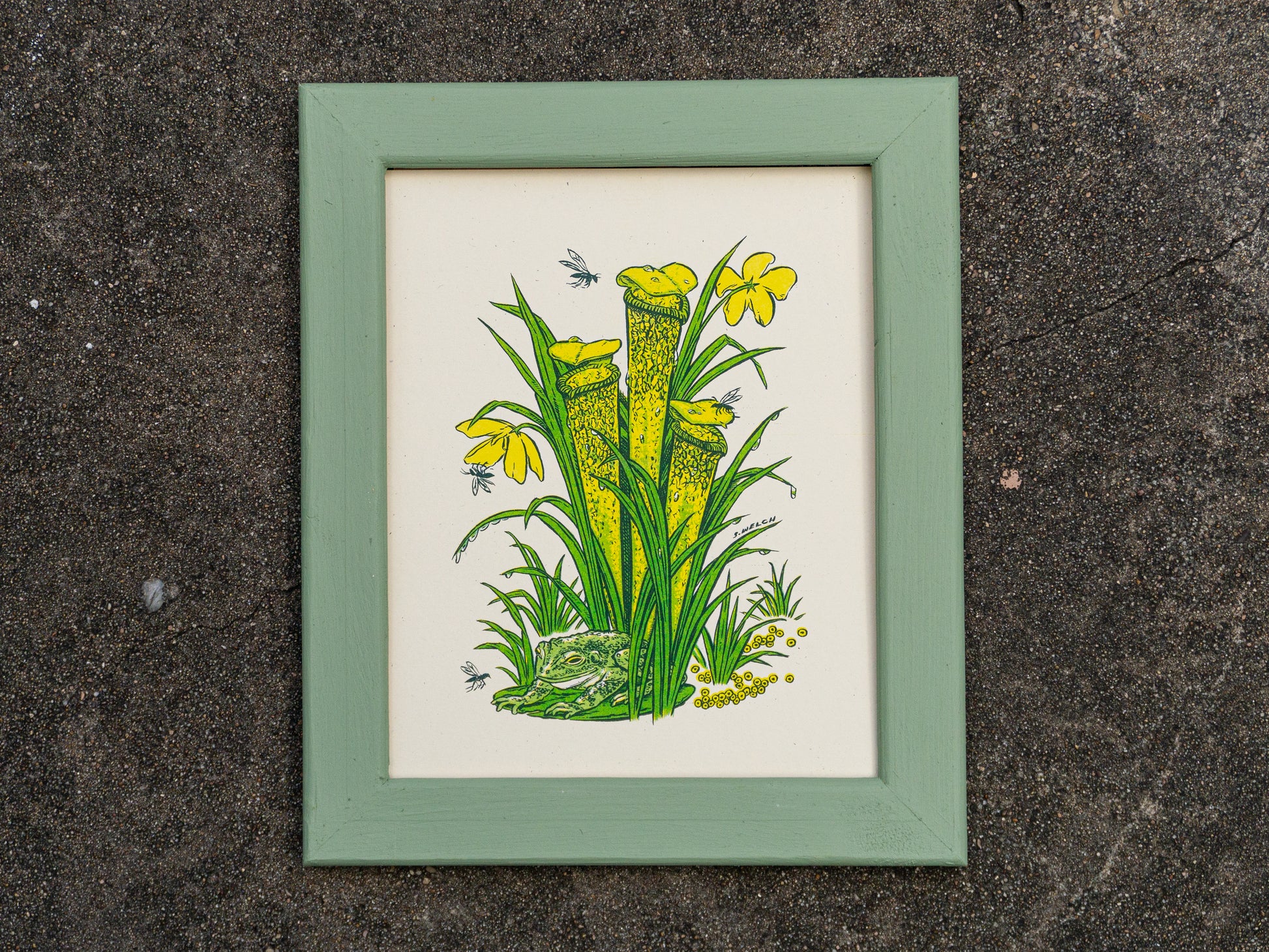 Art print of a pitcher plant with a frog at the base. Shown in a picture frame, not included.