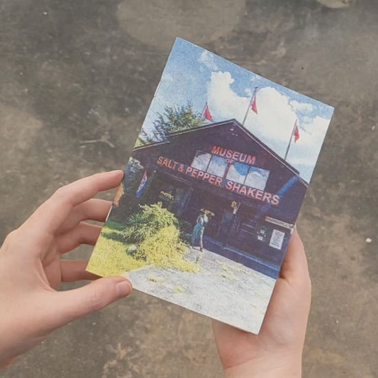 Video of hands flipping through the zine.